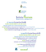 Brixia Florum 2013